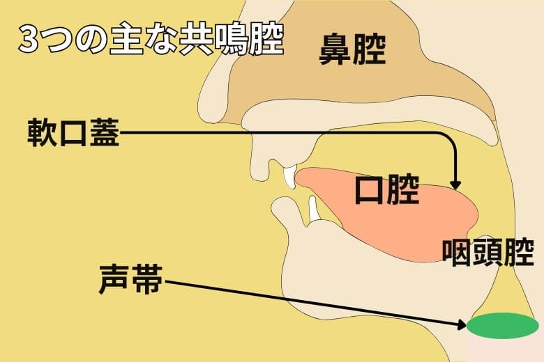 ミュージカルの発声